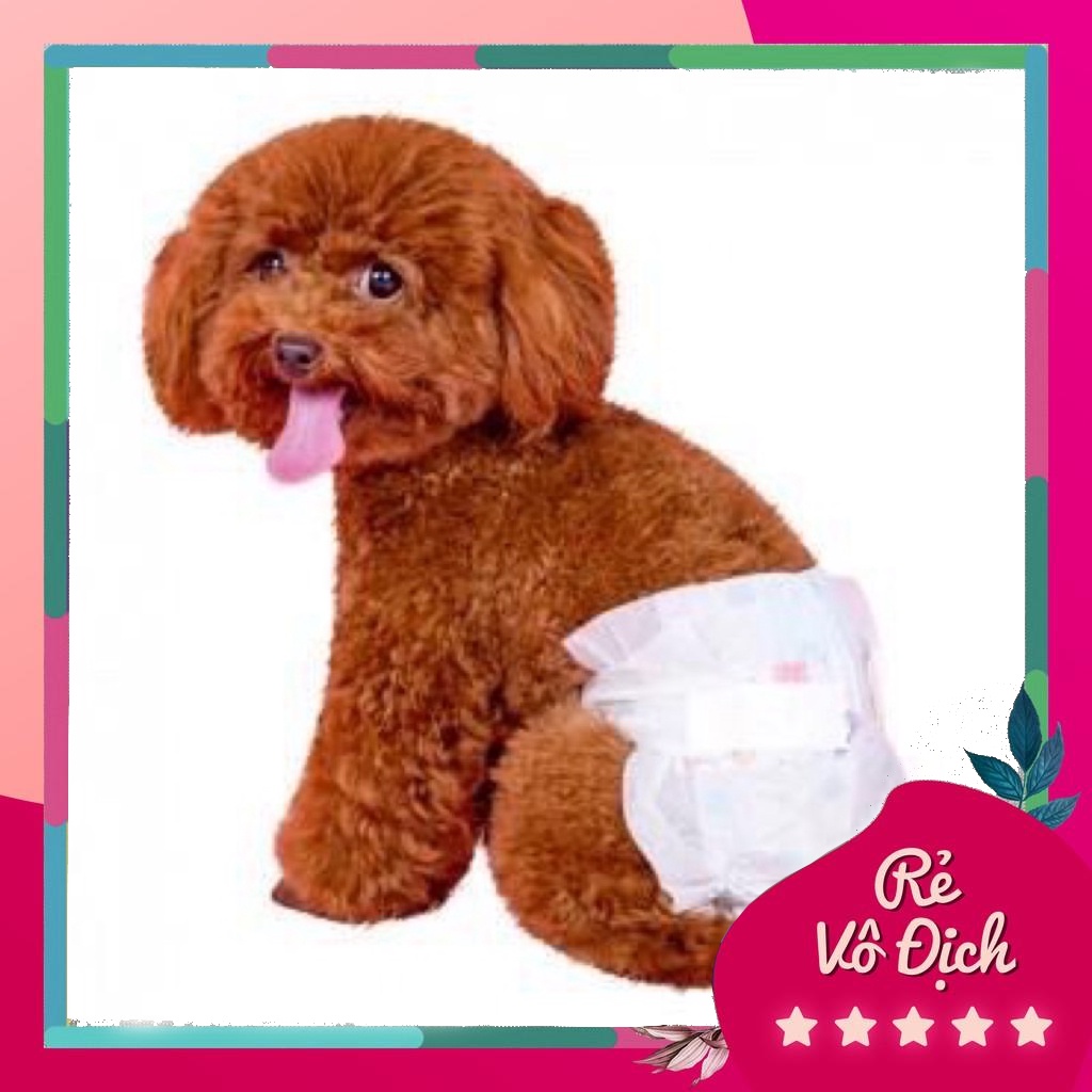 Bỉm tả vệ sinh cho chó cái đủ size-Hộp 10miếng