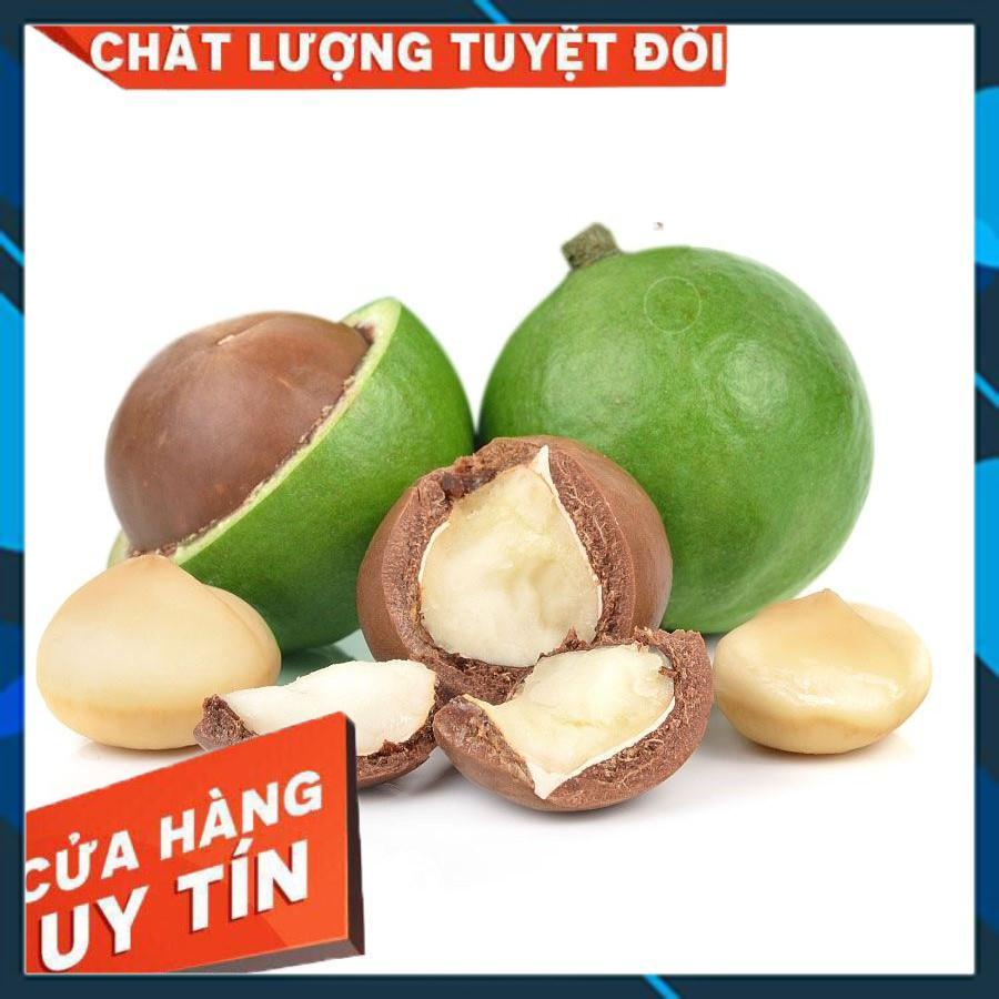 Hạt macca đăklăk sạch nhà trồng loại 1 có ATVSTP hạt mắc ca( sấy lạnh) 500gr