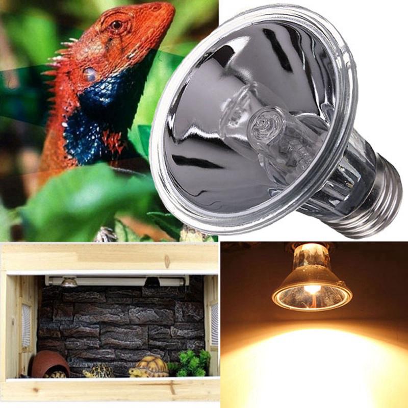 Bóng đèn halogen sưởi ấm E27 50W UVA UVB 50 / 100W