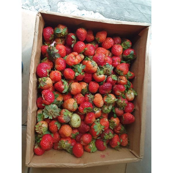 1kg dâu tây tây mỹ đá size Nhất