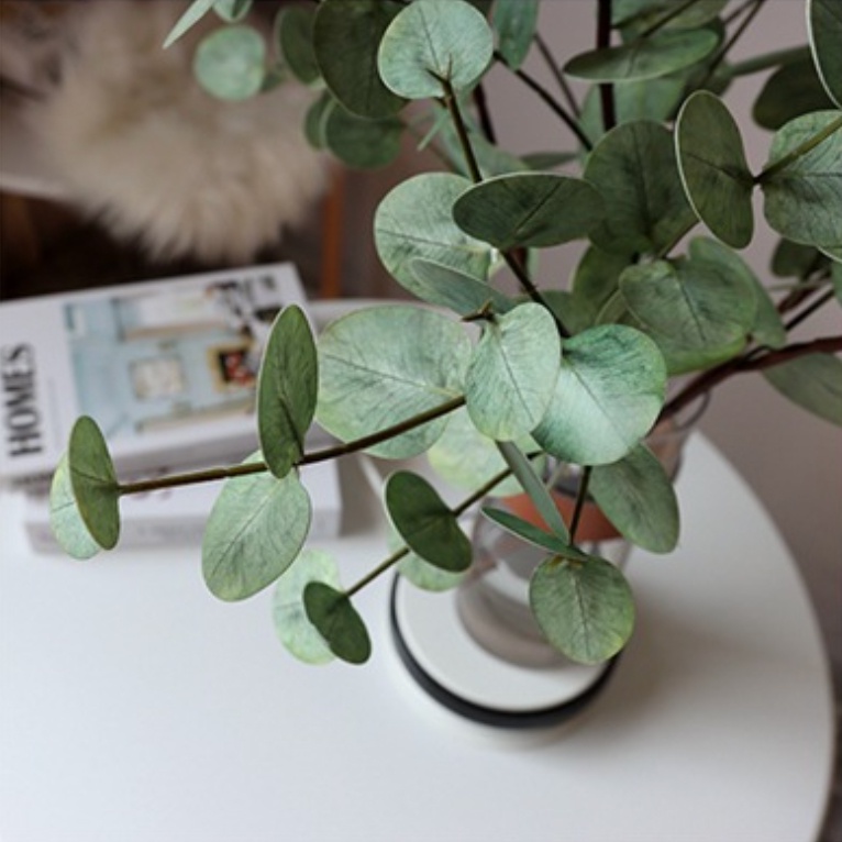 Cành khuynh diệp Eucalyptus giả trang trí decor