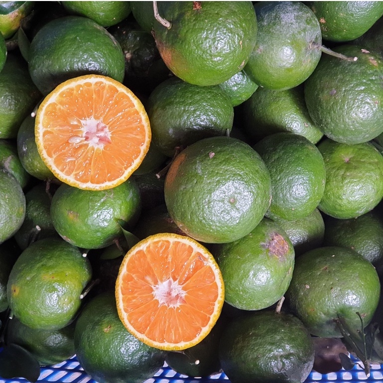 Cam Sành Mọng Nước Bổ Dưỡng - Giao Hỏa Tốc 1h
