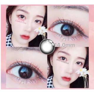 LENS ĐEN TỰ NHIÊN - LENS HÀN HS2378