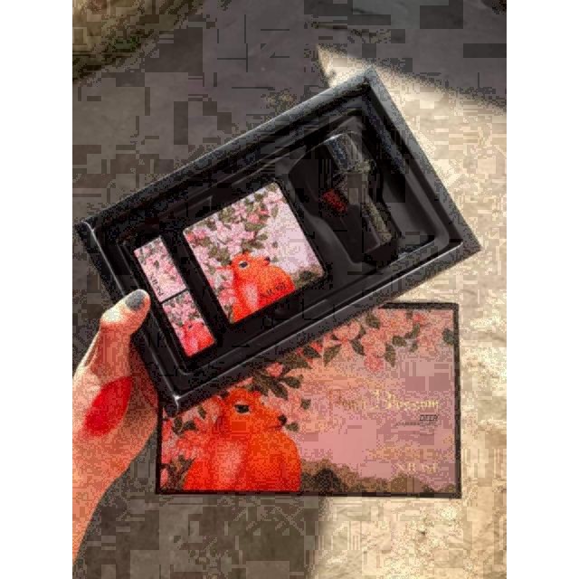 BỘ TRANG ĐIỂM PHẤN NƯỚC + SON MÔI XIUSE - TRANG ĐIỂM CỰC XINH 🌎🌎🌎