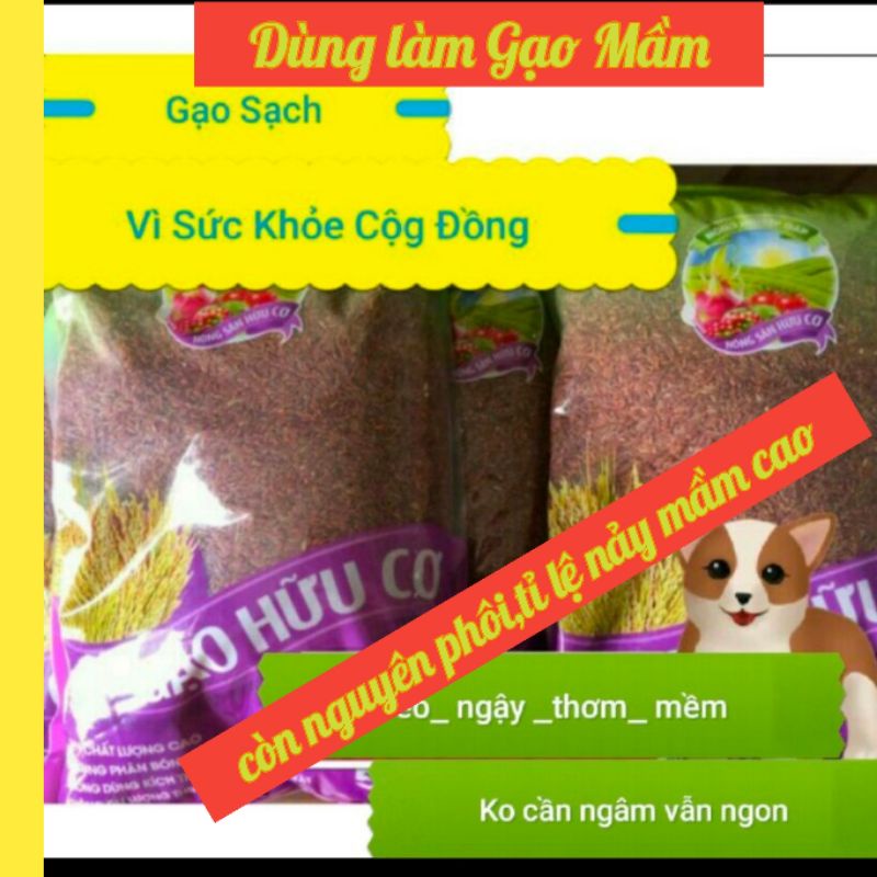 Gạo Lứt Đỏ Ngậy Mềm Thơm Chỉ Số Đường Thấp cho người ăn kiêng( không phải gạo huyết rồng)