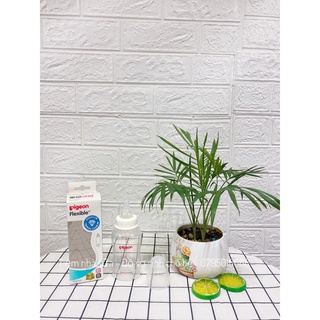 Bình sữa pigeon, bình sữa cho bé Pigeon PP/ PP Plus