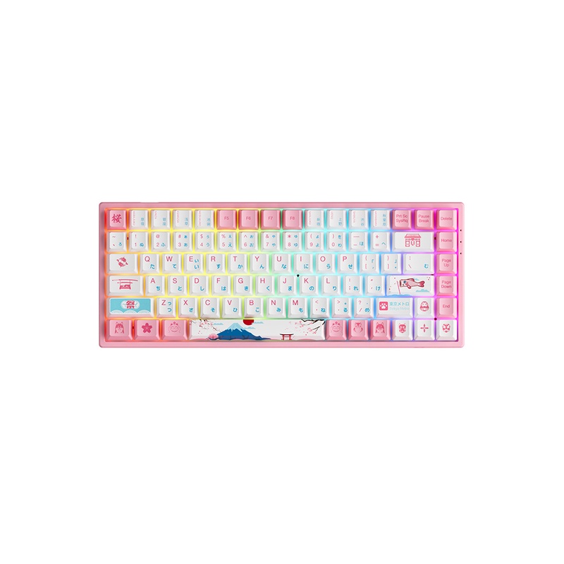 Bàn phím cơ AKKO 3084B plus