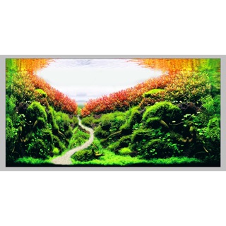 TRANH 3D DÁN HỒ CÁ