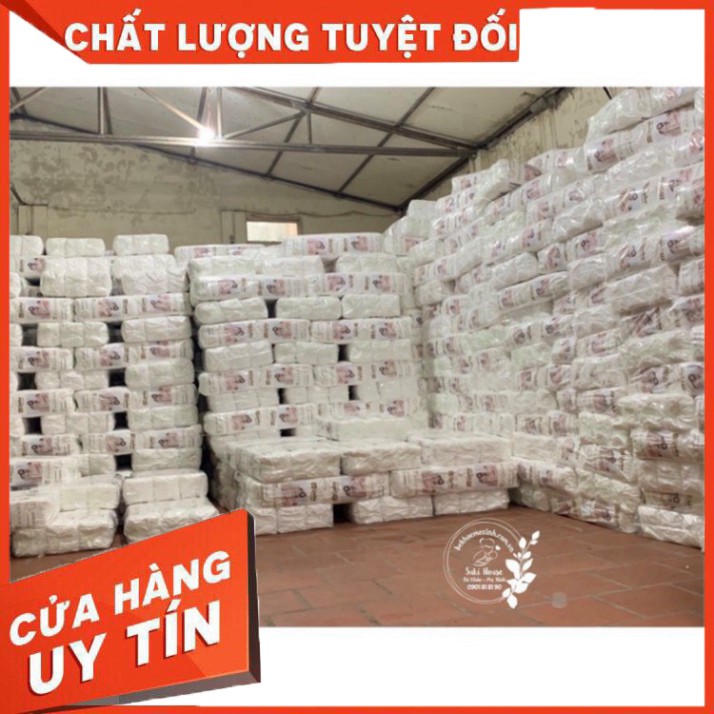 COMBO 50 MIẾNG BỈM QUẦN MIJUKU XUẤT NHẬT M50/L50/XL5/XXL50/XXXL50