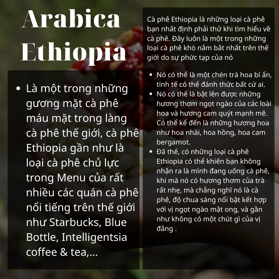 Cà Phê Arabica Ethiopia Sidamo Nhập Khẩu Basic Coffee 200gr Nguyên Hạt