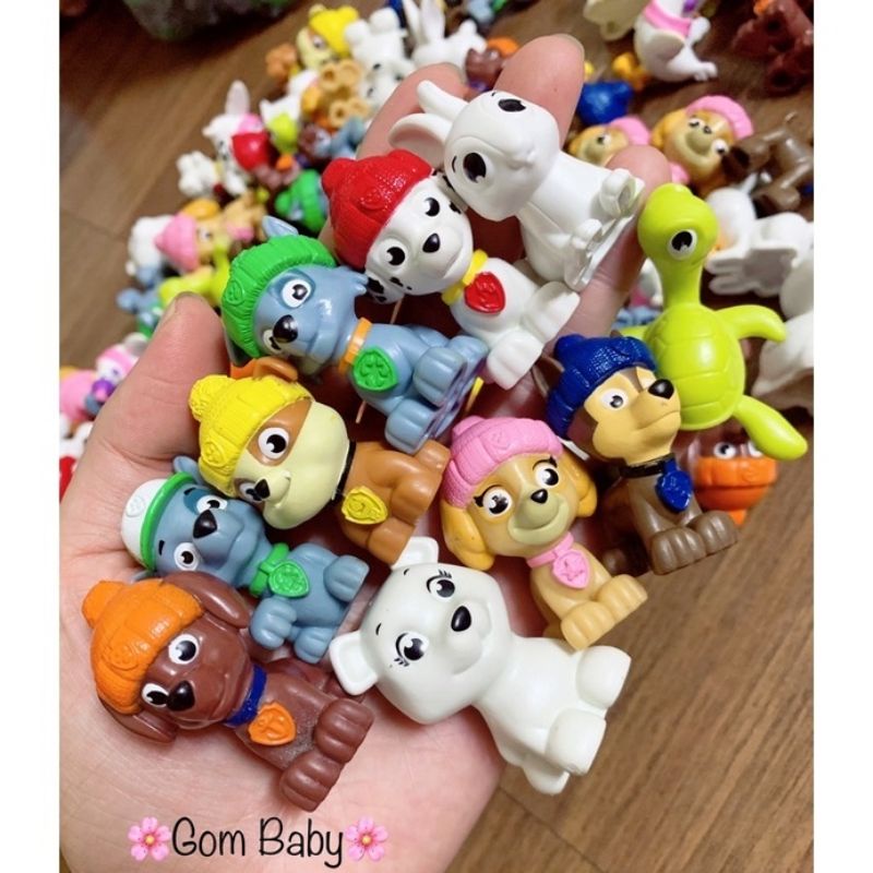 Chó cứu hộ 10 con