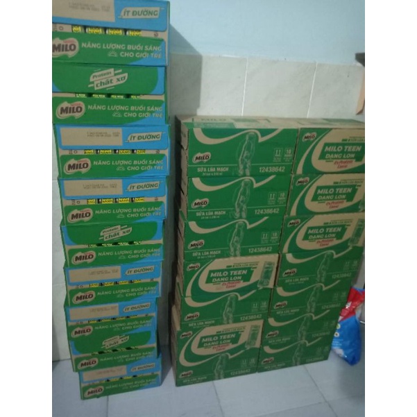 (Thùng 24 lon) Sữa Nestlé Milo X2 Canxi Lon Nước (240ml/lon)