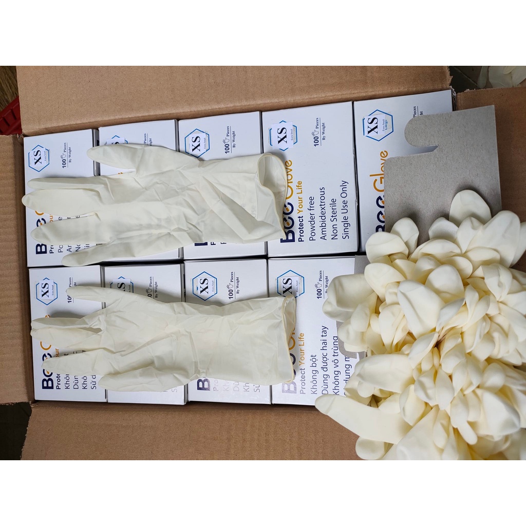 1 thùng 10 hộp Găng tay cao su y tế BEE GLOVE Latex , không bột chính hãng Màu Kem 6.0gr - Size XS,S,M,L