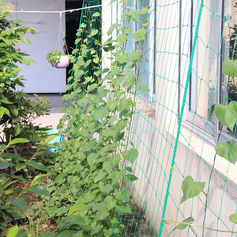 Lưới Cho Cây Dây Leo 4 Kích Cỡ