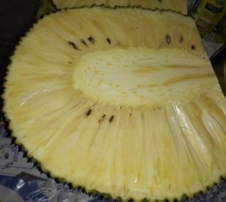 Mít không hạt