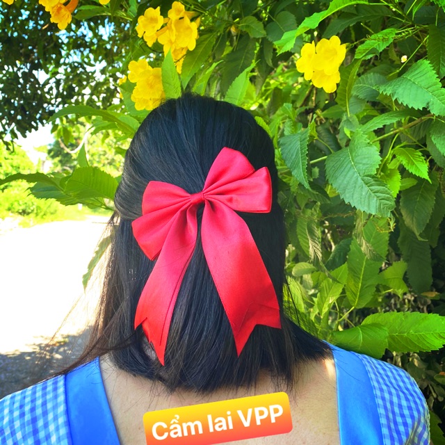 Dây cột tóc nữ phong cách Hàn quốc(hình thật )