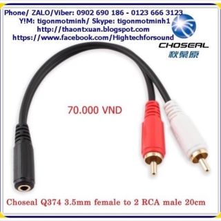 Cáp Choseal đầu 3.5 cái stereo ra 2 đầu bông sen đực