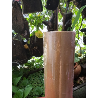 BĂNG KEO TRONG/ĐỤC 5F 100 Ya (1 cuộn)