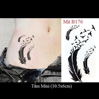 Hình xăm dán lông vũ B176