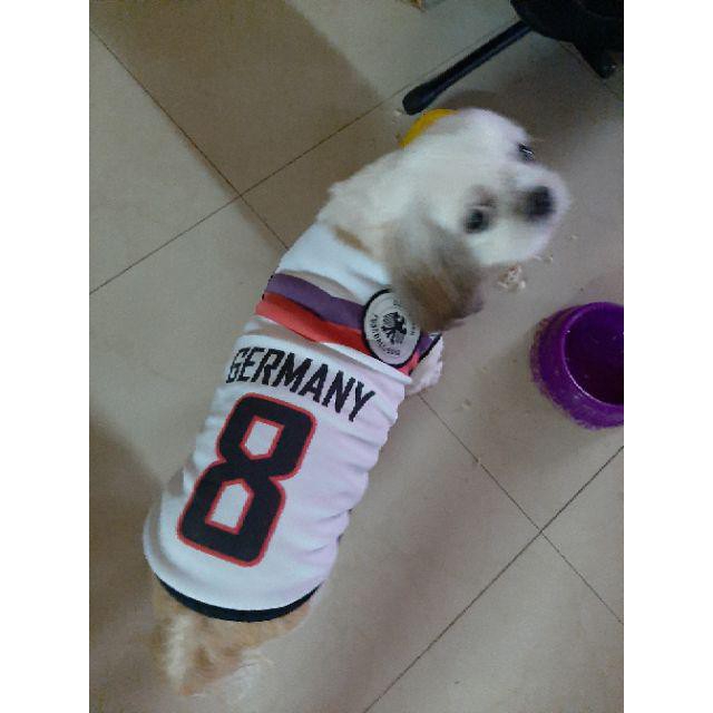 Áo không tay xinh xắn cho thú cưng (0.5-45Kg)