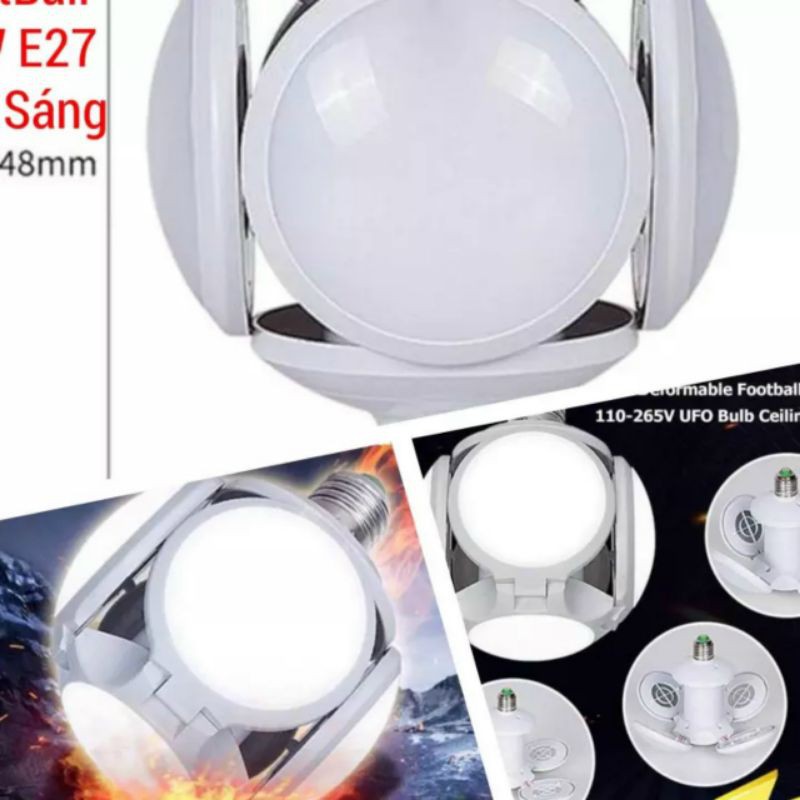 Bóng đèn tròn xòe 4 cánh.