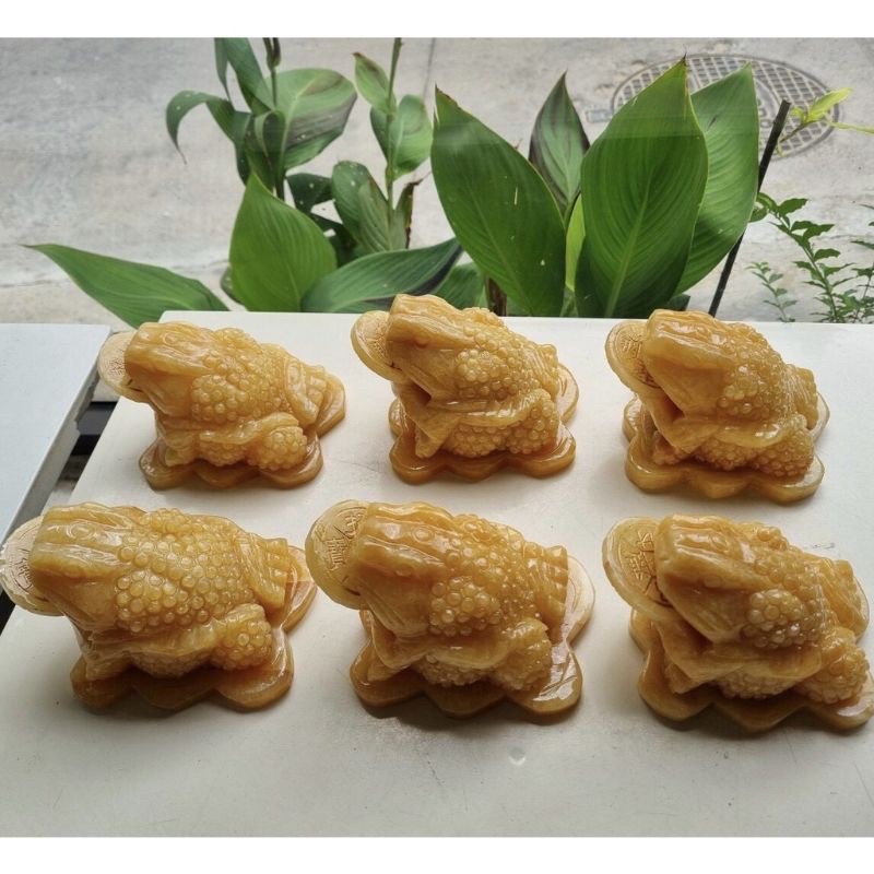 Thiềm thừ Ngọc Hoàng Long Dài 12cm, rộng 8cm, cao 7cm