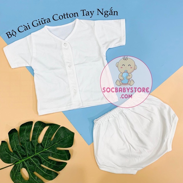 Quần Trắng Cotton Cao Cấp