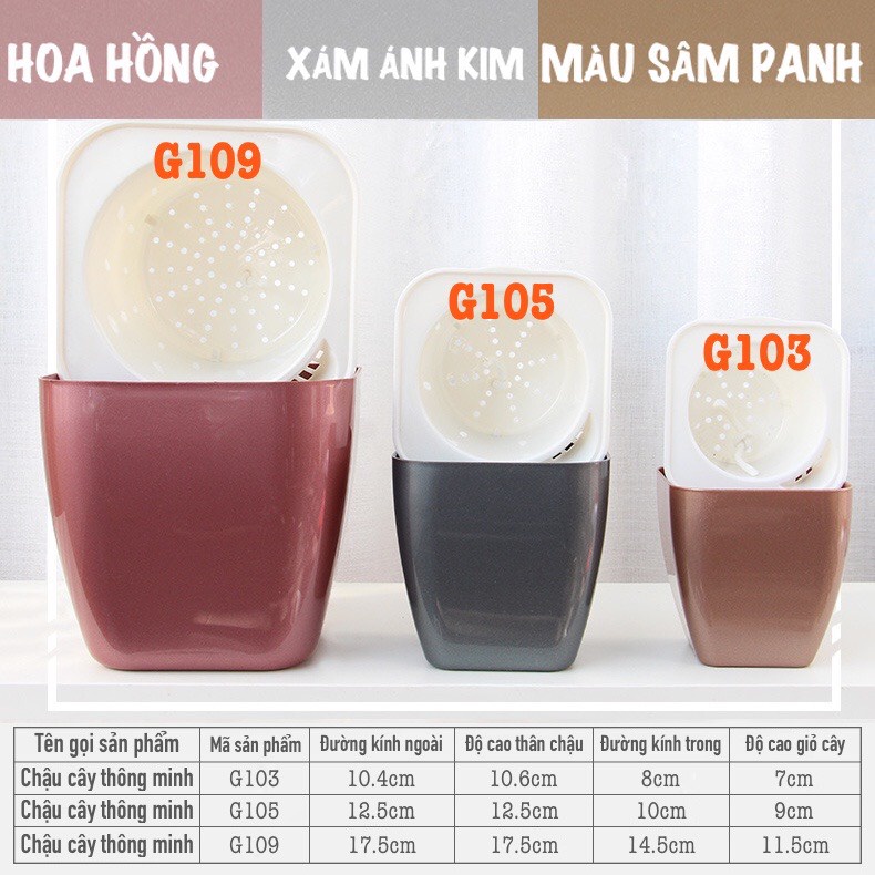 Chậu trồng cây đẹp để bàn Oliz-G1 tự tưới nước cho cây