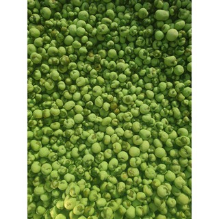 ĐẬU HÀ LAN WASABI LON 300GRAM
