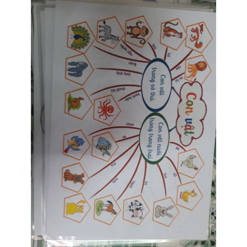 [MONTESSORI] Mindmap tiếng việt - sơ đồ tư duy bằng giấy in ảnh(11 trang)