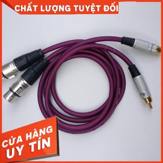 Dây Canon cái ra AV (cặp 02 sợi 0.8m), Một đầu Jack Canon cái, Một đầu Jack AV