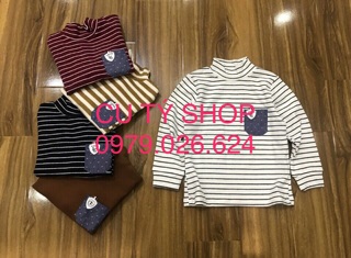 Áo cotton len cổ 3f HM
