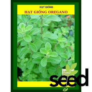 Hạt Giống Cỏ Thơm Oregano Ý 0.2 Gram