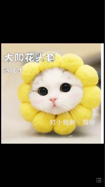 Mũ hoa hướng dương cực độc cho chó mèo thú cưng - hoa vàng đội đầu cho thú cưng