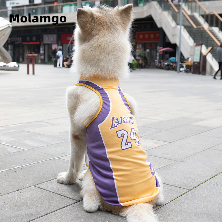 Big Áo Ba Lỗ Lưới Mùa Xuân Hè Cỡ Lớn Canine Gold Mao Samo Bian Mu