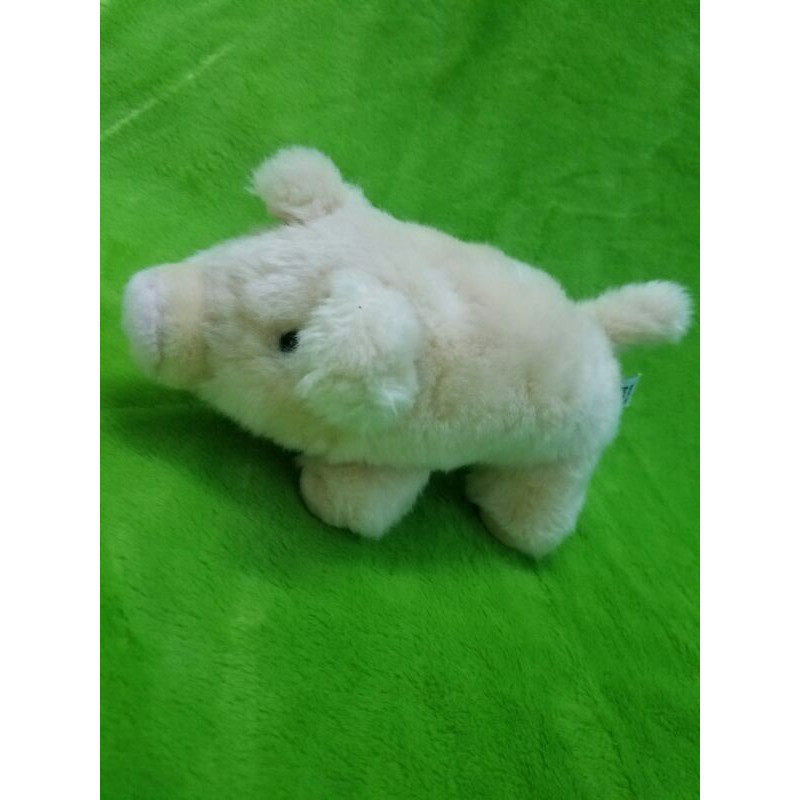 gấu bông con heo xù như thật 25cm