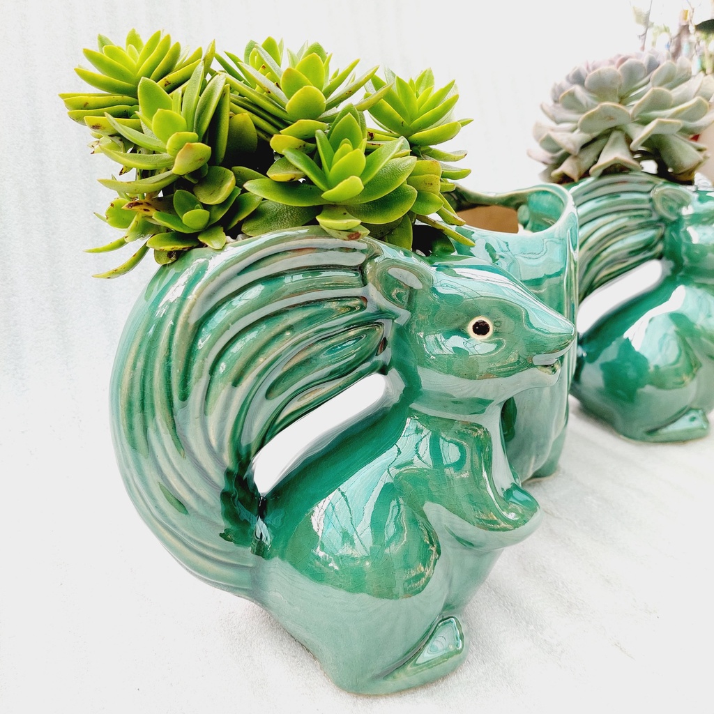 Chậu men, Chậu sen đá - Sóc tinh nghịch, miệng chậu (dọc 11cm, ngang 9cm), chiều cao 20cm