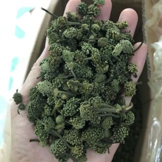 Nụ tam thất 500g