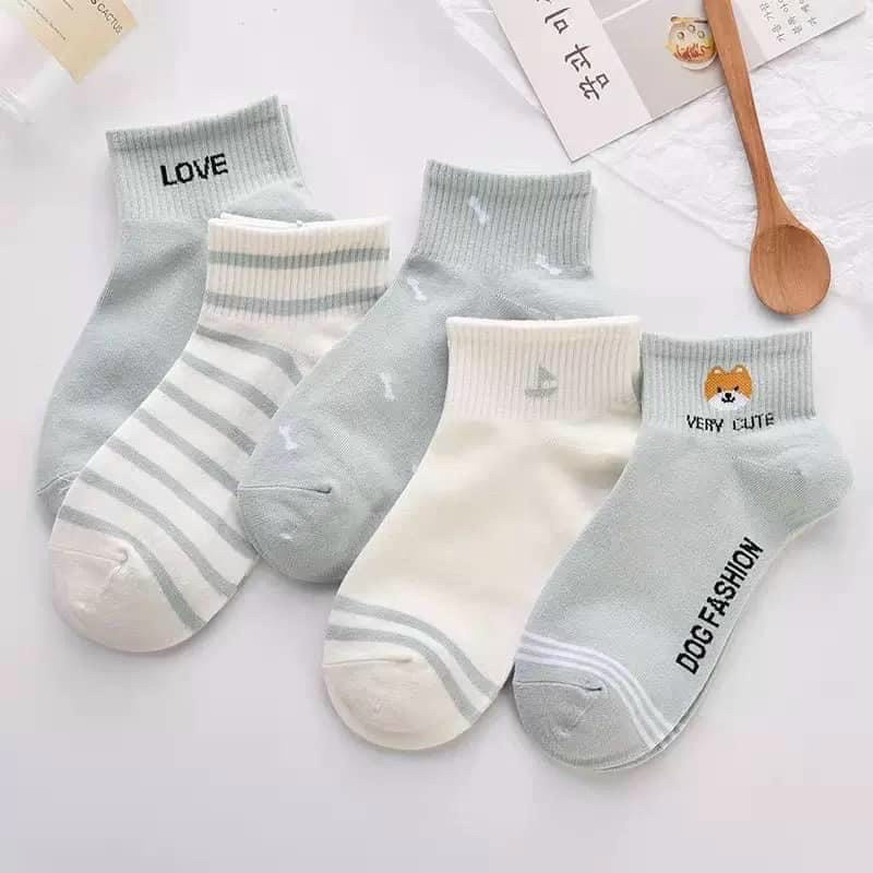 Set Tất Gấu Mèo Cừu Cute- Tất Vớ Cổ Vừa Nữ ❤