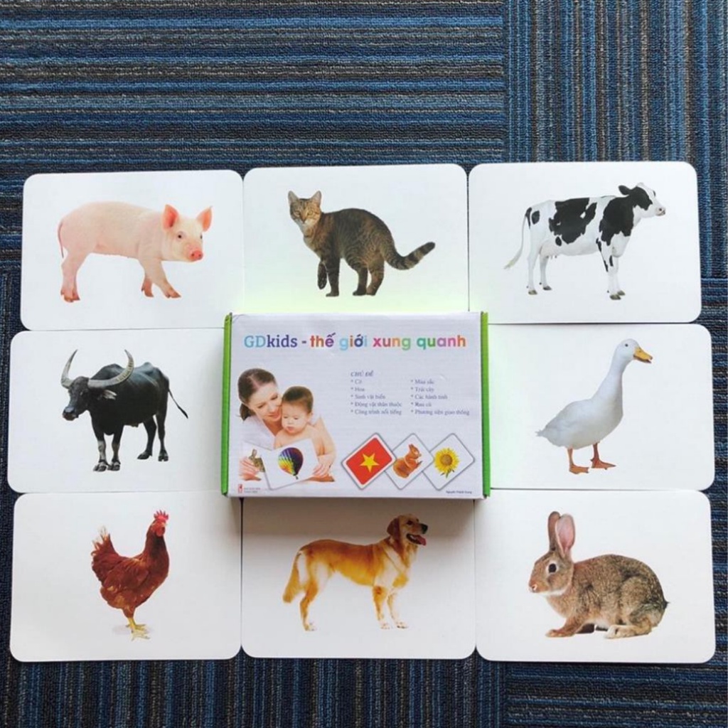 Bộ thẻ học glenn doman cho trẻ sơ sinh chuẩn flashcard thế giới xung quanh 100 thẻ Shop Bố Su