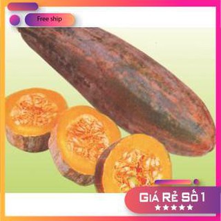 Hạt giống Bí đỏ dài (Bí sáp) (5g)