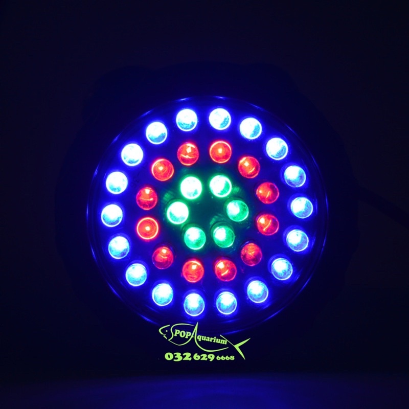Đèn rọi âm nước bể cá KOI