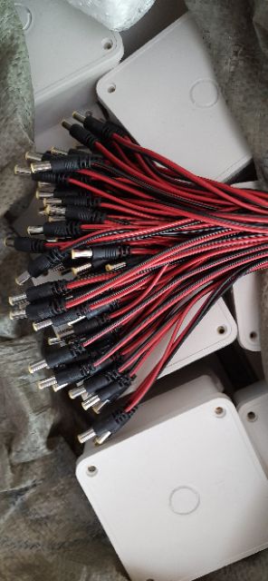 Rắc DC đực chân 5,5 | BigBuy360 - bigbuy360.vn