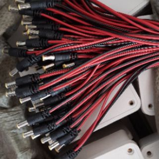 Rắc DC đực chân 5,5