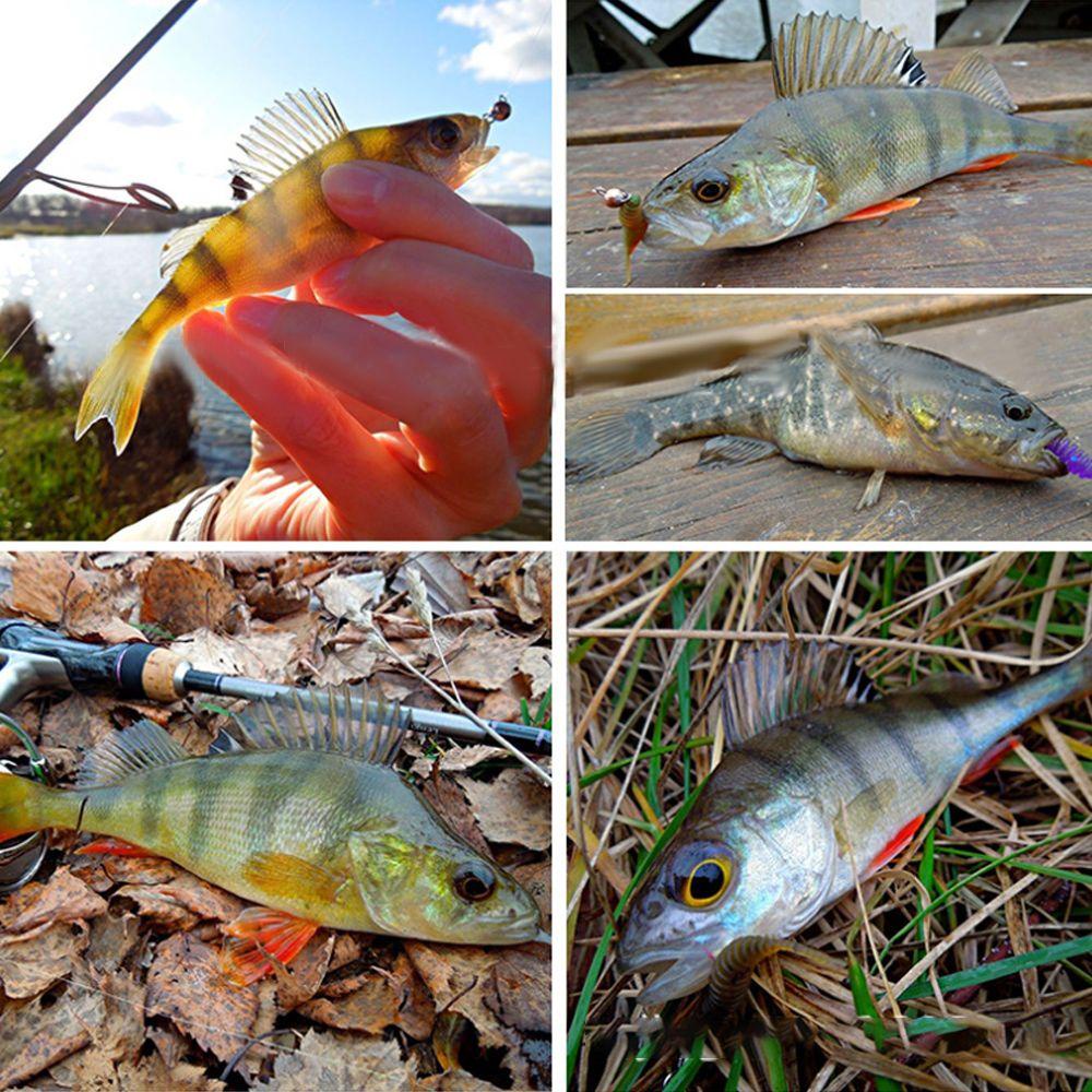 Móc Nối Câu Cá Bằng Vonfram Với 6 Màu Sắc Khác Nhau