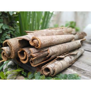 Vỏ quế khô - 100g