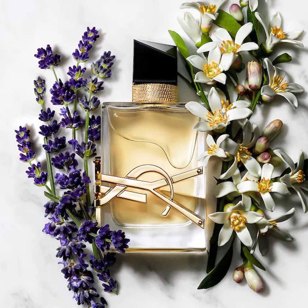 [𝘚𝘰𝘭𝘪𝘵𝘶𝘥𝘦] Nước hoa 𝐘𝐯𝐞𝐬 𝐒𝐚𝐢𝐧𝐭 𝐋𝐚𝐮𝐫𝐞𝐧𝐭 𝐋𝐢𝐛𝐫𝐞 10ML