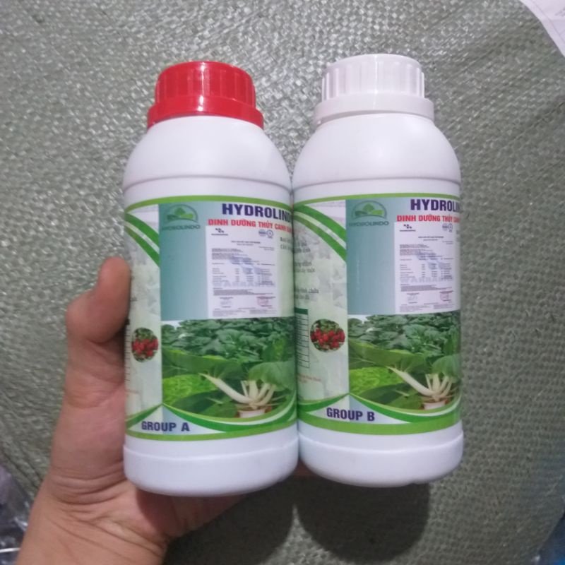 Dung dịch dinh dưỡng thủy canh HydroUmat / HydroLindo  | Thủy Canh Cần Thơ
