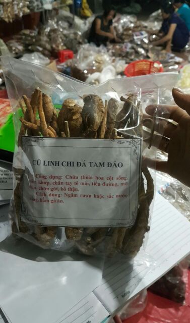 Củ linh chi đá Tam Đảo[1kg] củ Bạch Chỉ