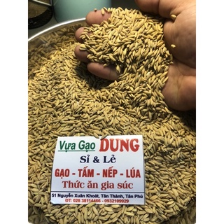 Lúa Tròn Cho Gà 1kg